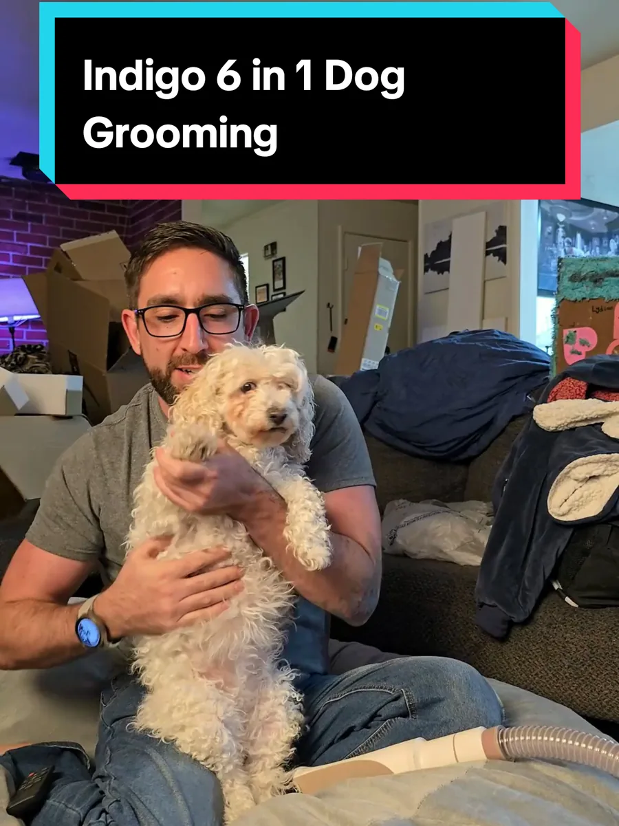 6-in-1 Dog Grooming Vacuum featured by Noble Knows