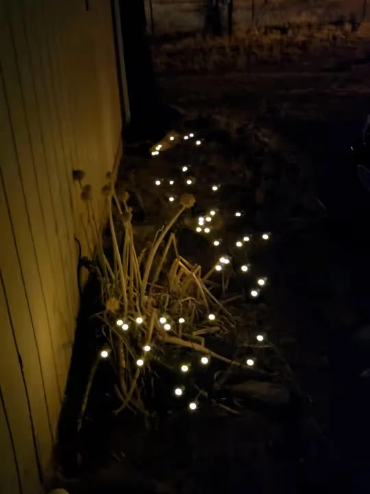 Hoodink Firefly Solar Lights outdoor product review by Loren Noble